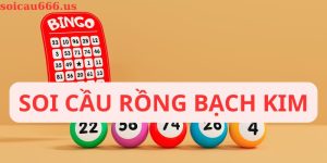 Soi cầu rồng bạch kim